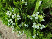 IMG_20190623_154045